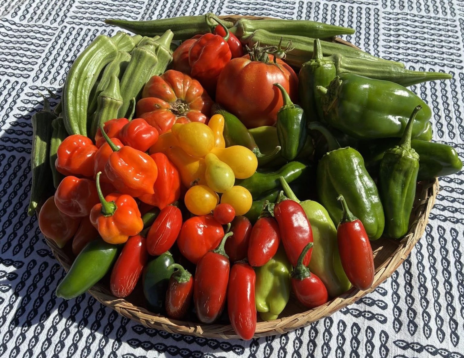 December 2025 Newsletter: Shamba la Uhuru Freedom Farm kicks off Spring ...